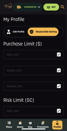 The Money Factory Mobile Purchase Info