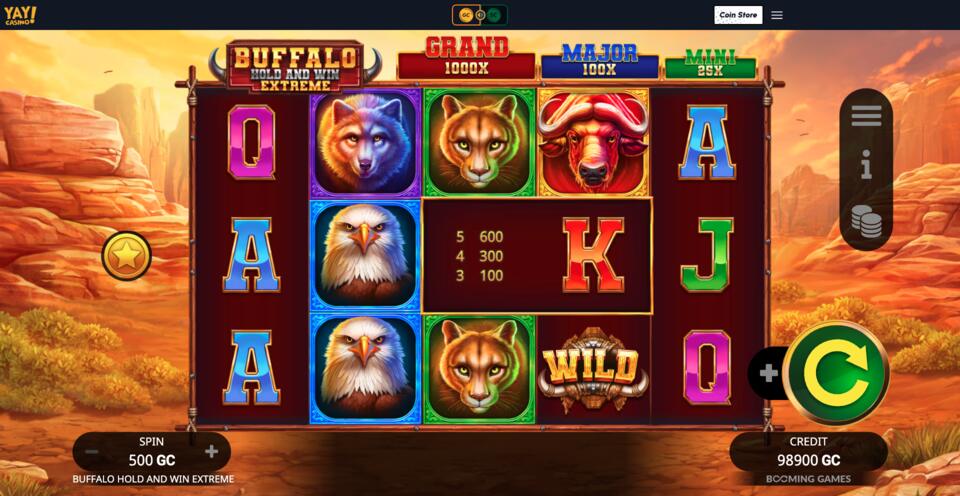 Yay Casino Buffalo Hold and Win Extreme Slot Game
