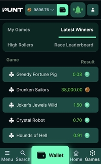 Punt Mobile Profile