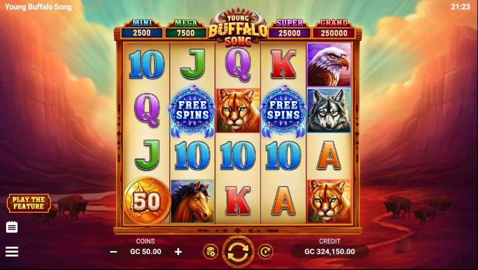 Young Buffalo Song Casino Game