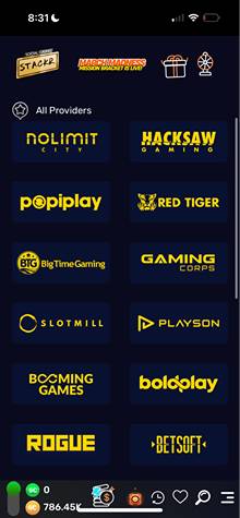 Stackr Casino Mobile Providers