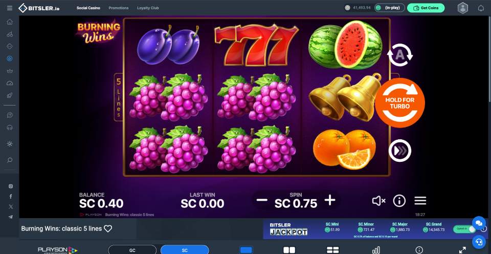 Bitsler.io Casino Burning Wins Slot Game
