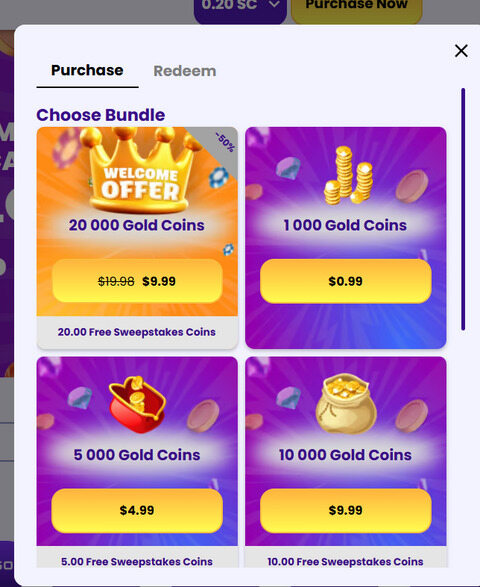 Mega Frenzy Casino Purchase Options