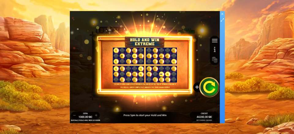 Splash Coins Buffalo Hold and Win