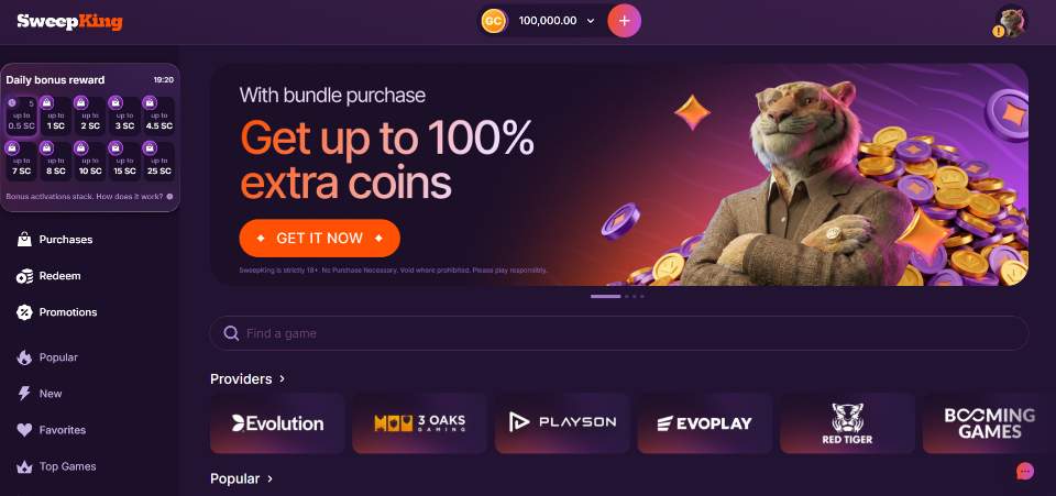 SweepKing Homepage
