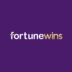 Logo image for Fortune Wins Casino fortunewins   logo logo